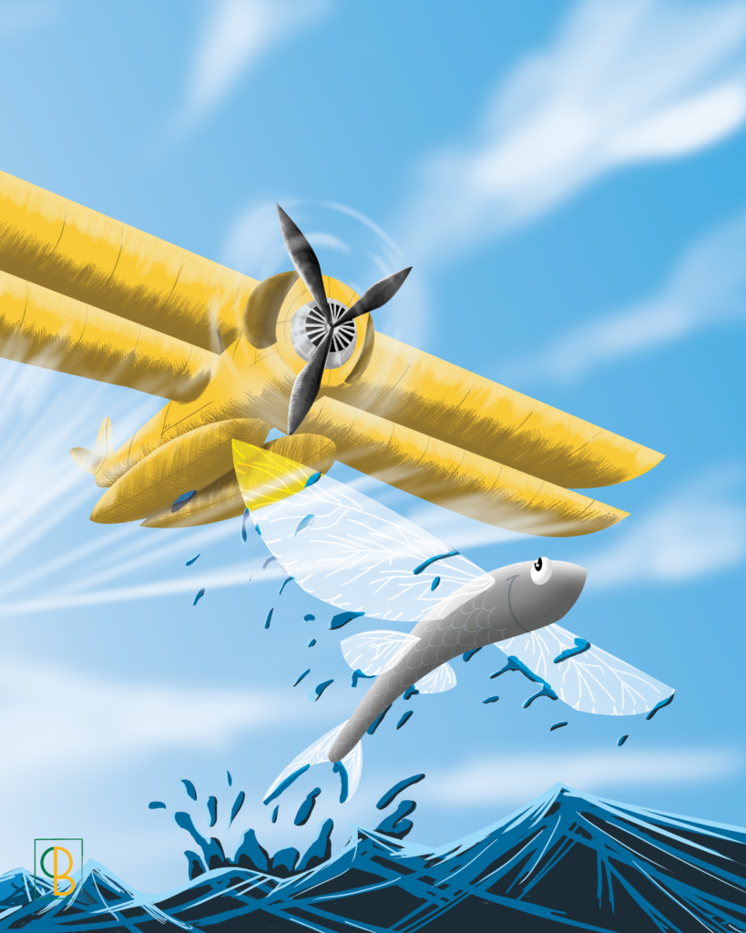 migration LMS migration contenu e-learning transfert plateforme LMS professeur de dessin freelance illustrateur freelance illustrateur numérique illustration commerciale illustrateur storyboarder freelance dessinateur pédagogique e-learning illustration pour formation en ligne Côte d'Azur PACA Nice Cannes