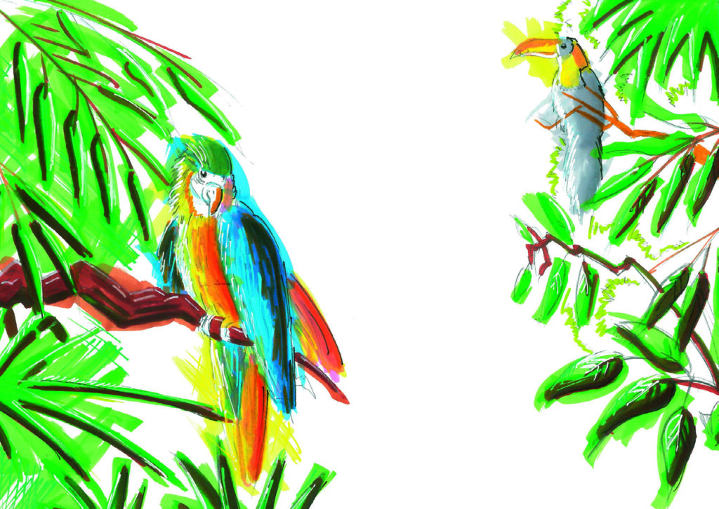 migration LMS migration contenu e-learning transfert plateforme LMS professeur de dessin freelance illustrateur freelance illustrateur numérique illustration commerciale illustrateur storyboarder freelance dessinateur pédagogique e-learning illustration pour formation en ligne Côte d'Azur PACA Nice Cannes