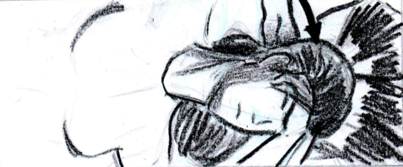 migration LMS migration contenu e-learning transfert plateforme LMS professeur de dessin freelance illustrateur freelance illustrateur numérique illustration commerciale illustrateur storyboarder freelance dessinateur pédagogique e-learning illustration pour formation en ligne Côte d'Azur PACA Nice Cannes
